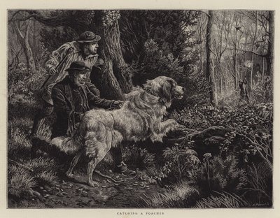 Cazando a un furtivo de Basil Bradley